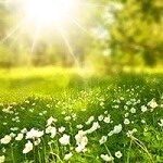 電話占いリエル　映満