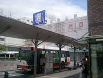 和歌山で占い！よく当たる占い店・占い師【完全ガイド】