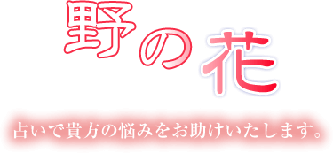 タロット占い 野の花ロゴ