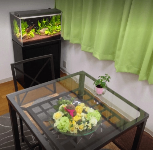 清宮一成 占いサロン鑑定スペース