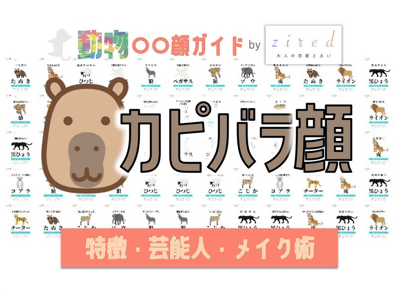 カピバラ顔タイプ完全ガイド｜特徴・診断・芸能人・メイク術
