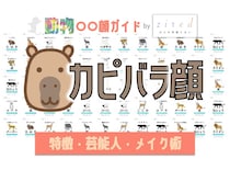 カピバラ顔タイプ完全ガイド｜特徴・診断・芸能人・メイク術