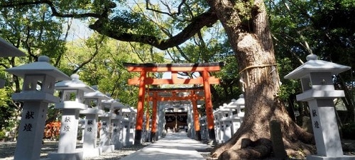 信太森神社