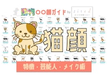 猫顔タイプ完全ガイド｜特徴・診断・芸能人・メイク術