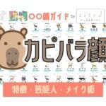カピバラ顔タイプ完全ガイド｜特徴・診断・芸能人・メイク術