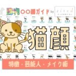 猫顔タイプ完全ガイド｜特徴・診断・芸能人・メイク術