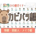 カピバラ顔タイプ完全ガイド｜特徴・診断・芸能人・メイク術