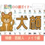 犬顔タイプ完全ガイド｜特徴・診断・芸能人・メイク術