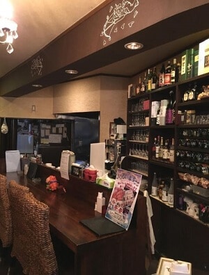 占いドルフィン