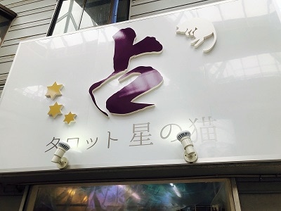 タロット星の猫