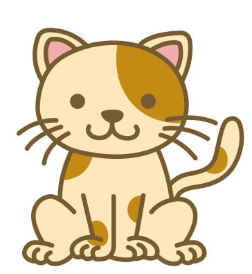 猫顔