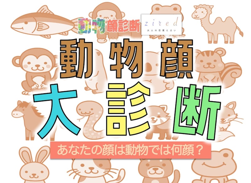 【動物顔診断】あなたの顔は何の動物タイプ？