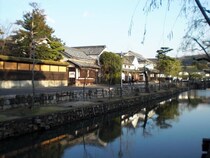 倉敷の本当に当たる占い師ガイド【手相・タロット・霊視】