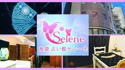 池袋占い館セレーネ