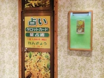 占い　れんぎょう