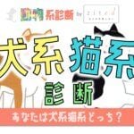 【犬系猫系診断】あなたは犬系？猫系？