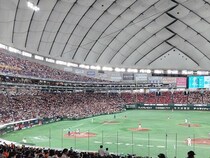 【現役ドラフト2025】2巡目ゼロの大異常と“実質トレード化”が深刻化…「もはや制度崩壊」の声も