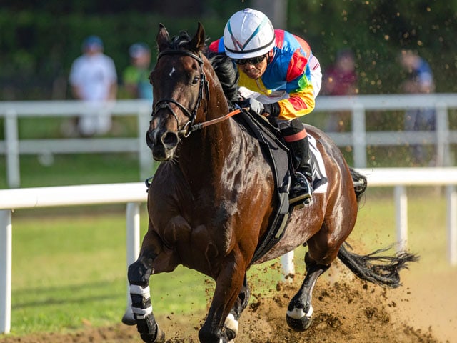 【競走馬異聞】前走比＋66キロの“超肥満馬”がラストラン！ 奇跡の3頭同着と「令和のナイスネイチャ」が達成した珍記録