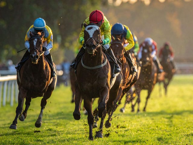 【競走馬異聞】GⅠ馬メジロパーマーも達成! JRA史上わずか4頭の珍記録と“騎手混迷”の大接戦