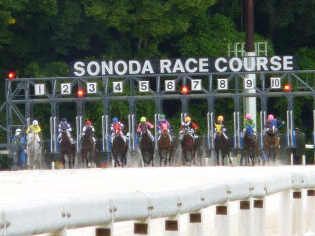 神頼みが炸裂！ 尼崎・園田競馬で「頭を使わずに」大逃げ馬券を的中させたドケチ旅まさかの三連勝！