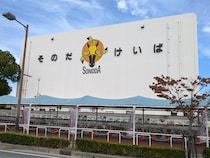 園田競馬で大負けもご満悦！ 十三ションベン横丁と梅田駅前ビル地下で体験した「なにわセンベロ旅」の極み