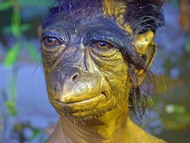 子供の水死が続発！ 江戸を騒がせた「河童（カッパ）」目撃事件と塩漬けにされた遺骸の怪異