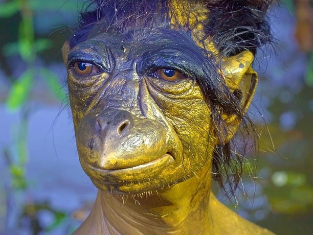 子供の水死が続発！ 江戸を騒がせた「河童（カッパ）」目撃事件と塩漬けにされた遺骸の怪異