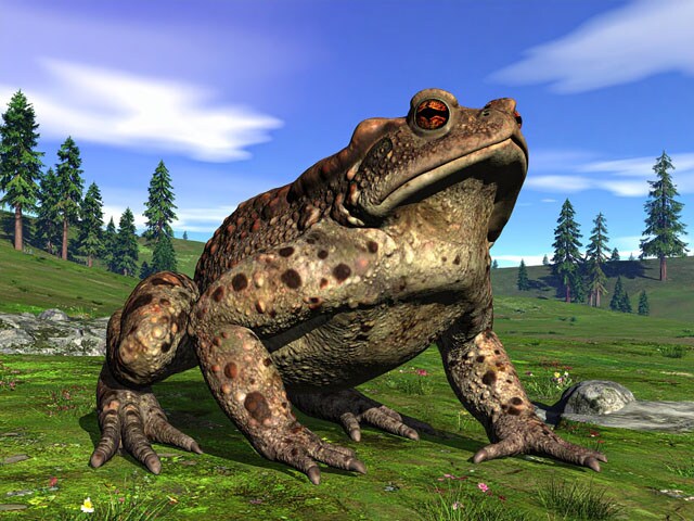 人型、巨獣、異形…江戸時代を跋扈した多様なUMAの世界！ 木こりの仕事を手伝うUMAは何者か