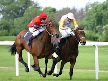 「3年間も隠し持ち…」園田競馬7騎手の集団スマホ不祥事が暴いた"監獄ルール"の限界。JRA藤田菜七子の悲劇はなぜ繰り返されるのか