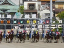 飲む・打つ・買うが徒歩圏内　漢の街・川崎競馬で挑んだ1泊2日のドケチ旅打ち【漢の旅 神奈川県川崎市（1）】