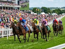 【特集】1位はディープインパクト…競馬記者が選ぶ伝説の最強ダービー馬はこれだ！【後編】