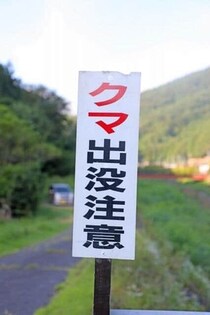 売り場ケースのガラスに「ひび」、店長も「押し倒され」...　群馬・沼田のスーパーにクマ侵入、店舗の被害は