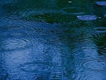 祖父母の家の蛇口を勝手に使う観光客トラブル　「私有地」立札が守った静かな暮らし