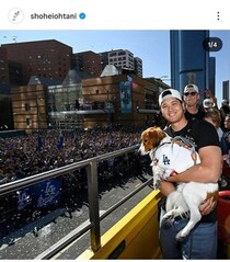 大谷翔平の愛犬デコピン、ハロウィン気分に　お散歩中？かぼちゃ物色ショット大反響「きゃわゆー」