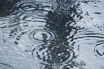 上野千鶴子氏、村山富市元首相を「戦犯」批判...疑問の声　「訃報に寄せて言う言葉が」「初七日くらい」