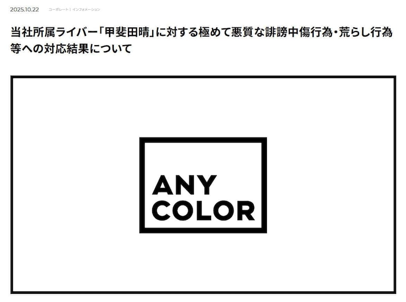 ANYCOLOR公式サイトより