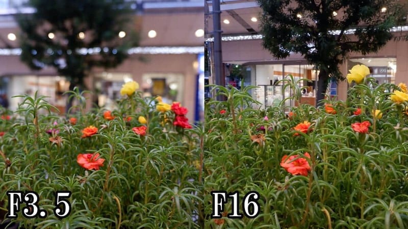 レンズの絞り値によって写真の仕上がりが異なる（左がF3.5、右がF16）（筆者撮影）