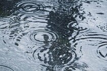 父の遺言「愛人に全財産5000万円を渡す」　疎遠だった本妻が涙ながらに起こした「ドロ沼裁判」の意外な末路