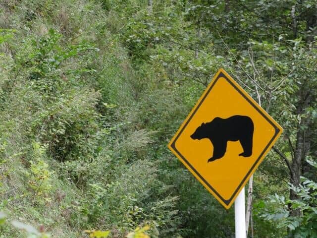 クマ注意の標識