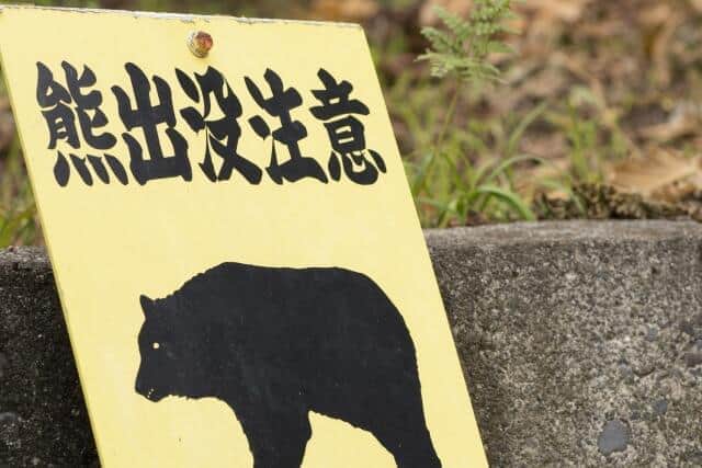 クマ被害が相次ぐ(写真はイメージ)