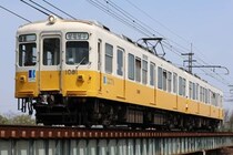 Suicaペンギン「卒業」→ことでんキャラ、まさかの「代役可能」アピール　ネット爆笑「大きいとこ狙っていくね」