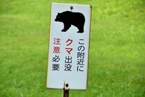 京都・伏見区で「クマらしき動物」の目撃情報→実は「人」だった...X驚き　なぜ見間違えた？区に聞いた一部始終