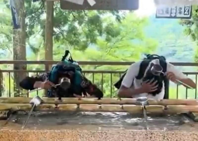 TikTokで投稿された動画(削除済み)から