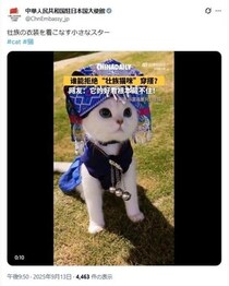 「日本人の弱点をついてきた」？　コワモテ中国大使館、2か月半ぶりに「猫」投稿