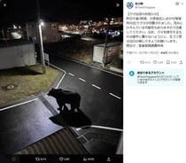 「信じがたいサイズ」巨大クマの目撃情報、宮城・女川町が拡散で注意喚起も　真相が判明...お詫び
