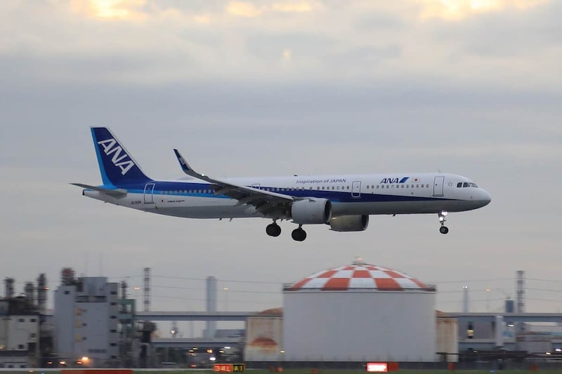 ANAのエアバスA321型機。太陽フレアの活発化による影響を受けた