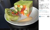 「野菜のテリーヌ」写真のALT属性に「レシピ情報」は間違い？　農水省Xが波紋...視覚障がい当事者の専門家の見解は