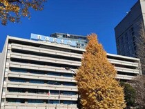 「やっぱり企業献金してるからじゃないか」　杉村太蔵氏が斬り込む「法人税の税収は伸びていない」背景