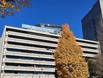 「やっぱり企業献金してるからじゃないか」　杉村太蔵氏が斬り込む「法人税の税収は伸びていない」背景