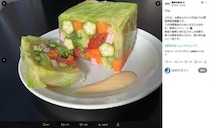 「野菜のテリーヌ」写真のALT属性に「レシピ情報」は間違い？　農水省Xが波紋...視覚障がい当事者の専門家の見解は